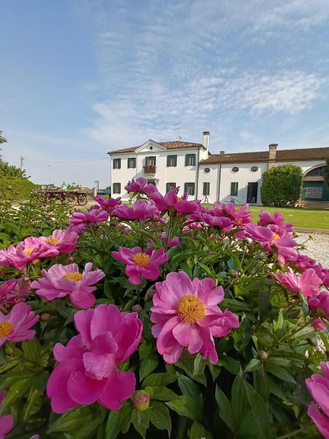 Agriturismo Villa Greggio Casalserugo Exterior photo