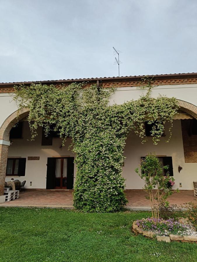 Agriturismo Villa Greggio Casalserugo Exterior photo